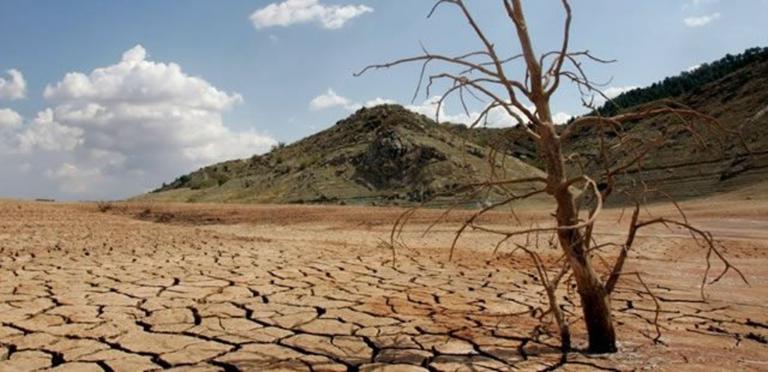 Drought in Mongolia 1