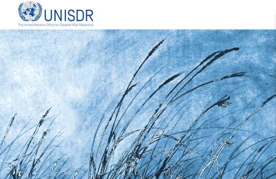 Women’s leadership in risk-resilient development: good practices and lessons learned