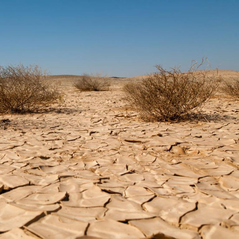 Drought in Mongolia