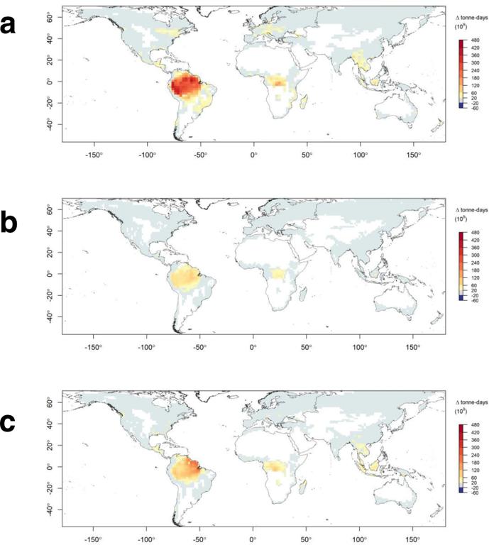 Forest fire threatens global carbon sinks and population centres under rising atmospheric water demand