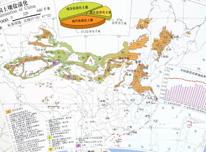 Online map of soil salinization in China (1:32 million)