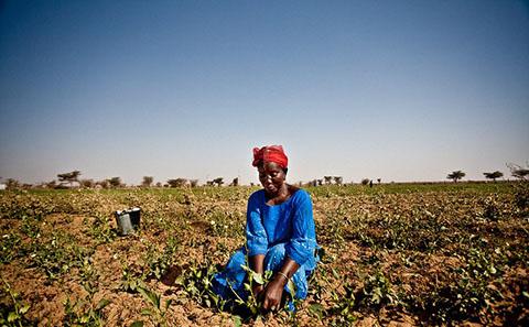 Shift to ‘flash droughts’ as climate warms