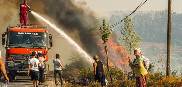 AI for disaster risk reduction: Combatting forest fires in Pakistan