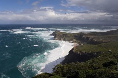 Deadly marine ‘cold spells’ could become more frequent with climate change, scientists warn