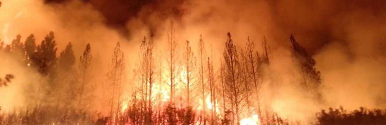 Hotter, Drier Nights Mean More Runaway Fires