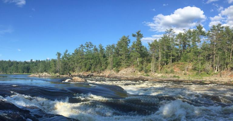 Artificial intelligence can be used to predict river discharge and warn of potential flooding, new Concordia study shows