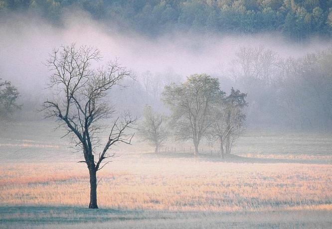 Events of Smog and Acid Rain