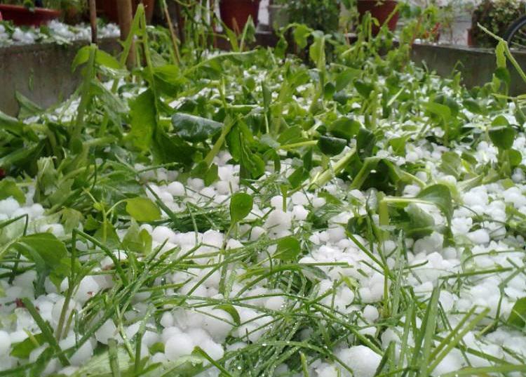 Layer nature of the hailstones
