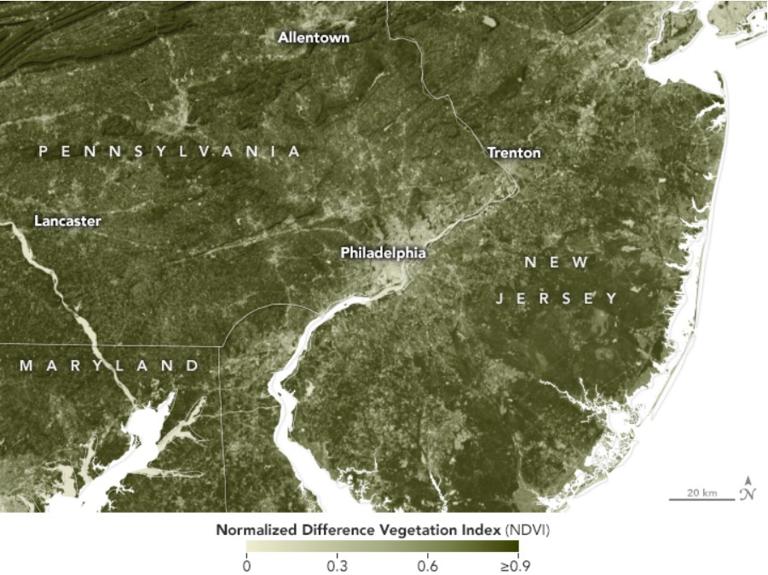 Study shows Urban Green Cover Impacts Human Mortality Rates